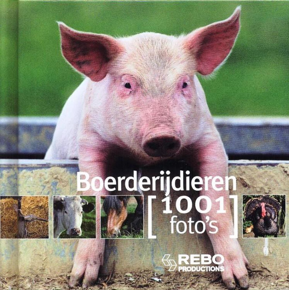 Kinderboeken Rebo - Boerderijdieren, 1001 fotos.