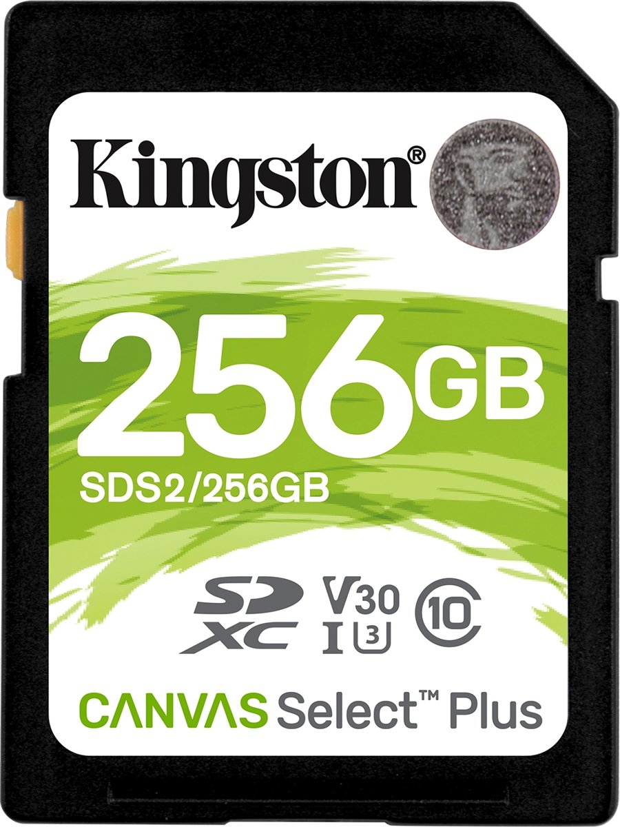 256GB SDXC 100R C10 UHS-I U3 V30