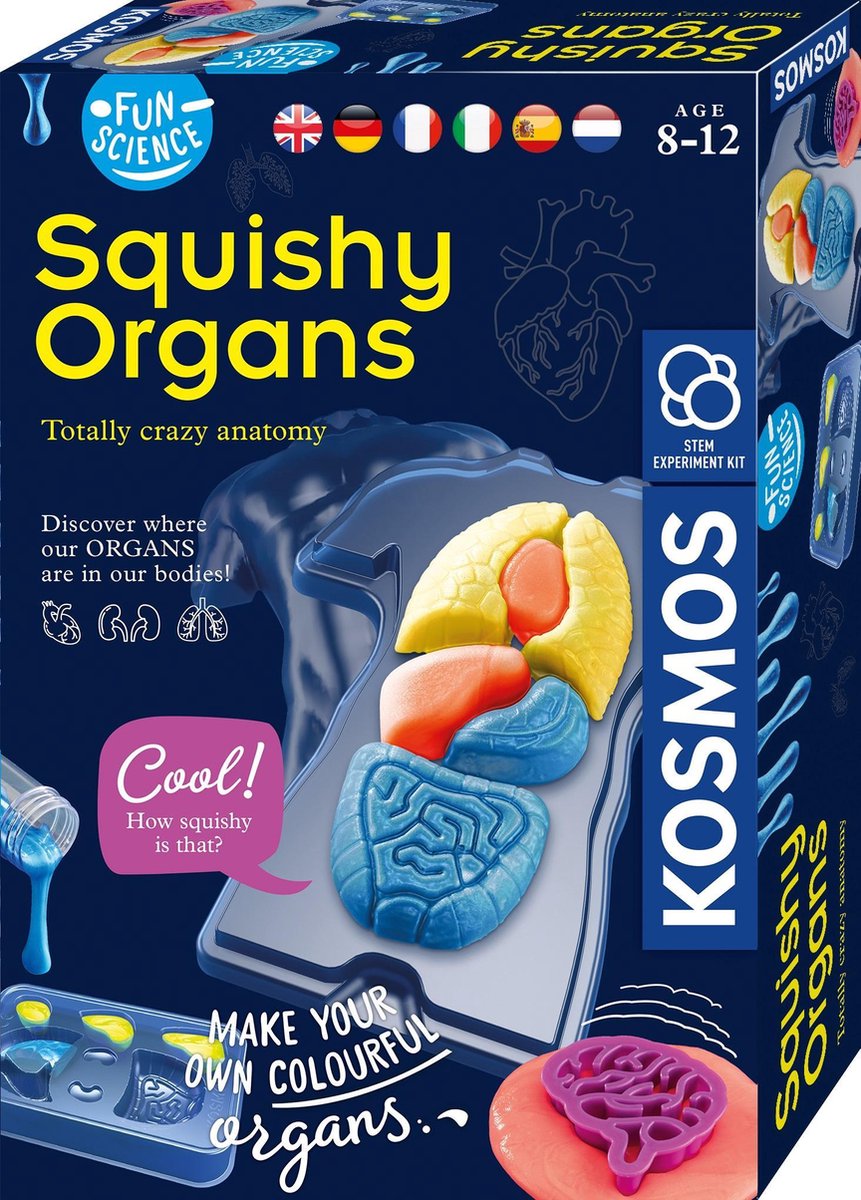 Fun Science - Squichy Organs