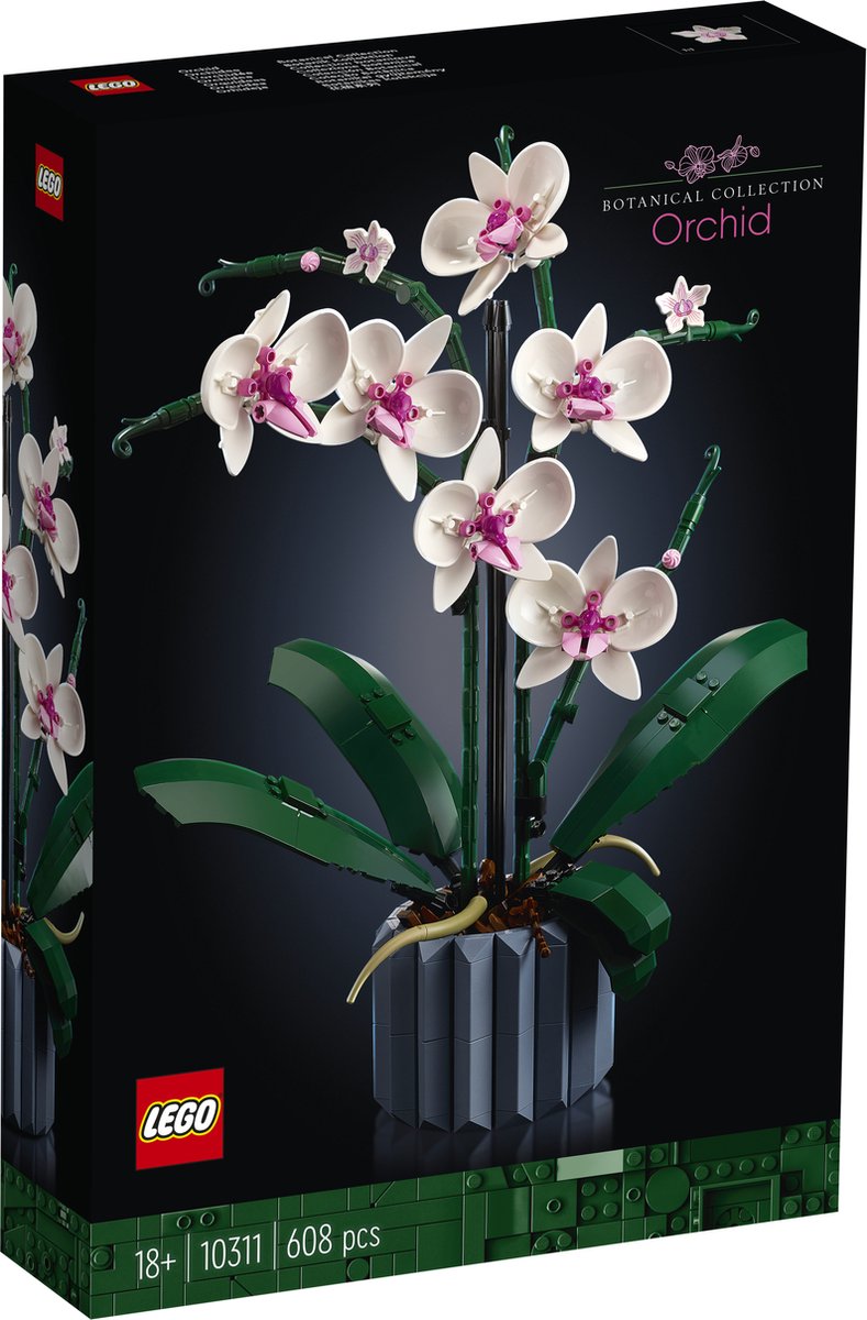   Icons Orchidee - 10311