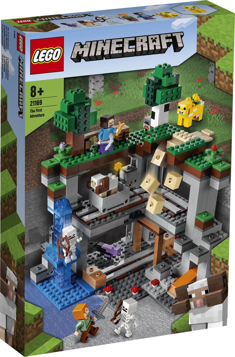 LEGO Minecraft Het Allereerste Avontuur - 21169