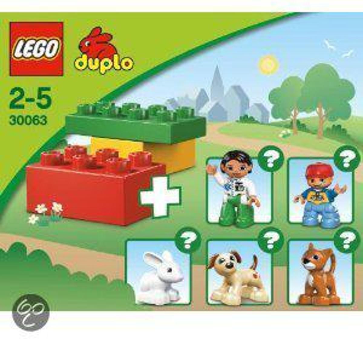   Duplo 30063 (Polybag)