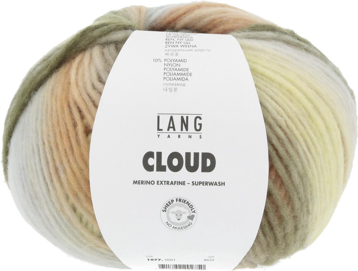 Lang Yarns Cloud 100 gram nr 0001 Groen Crème Gemêleerd