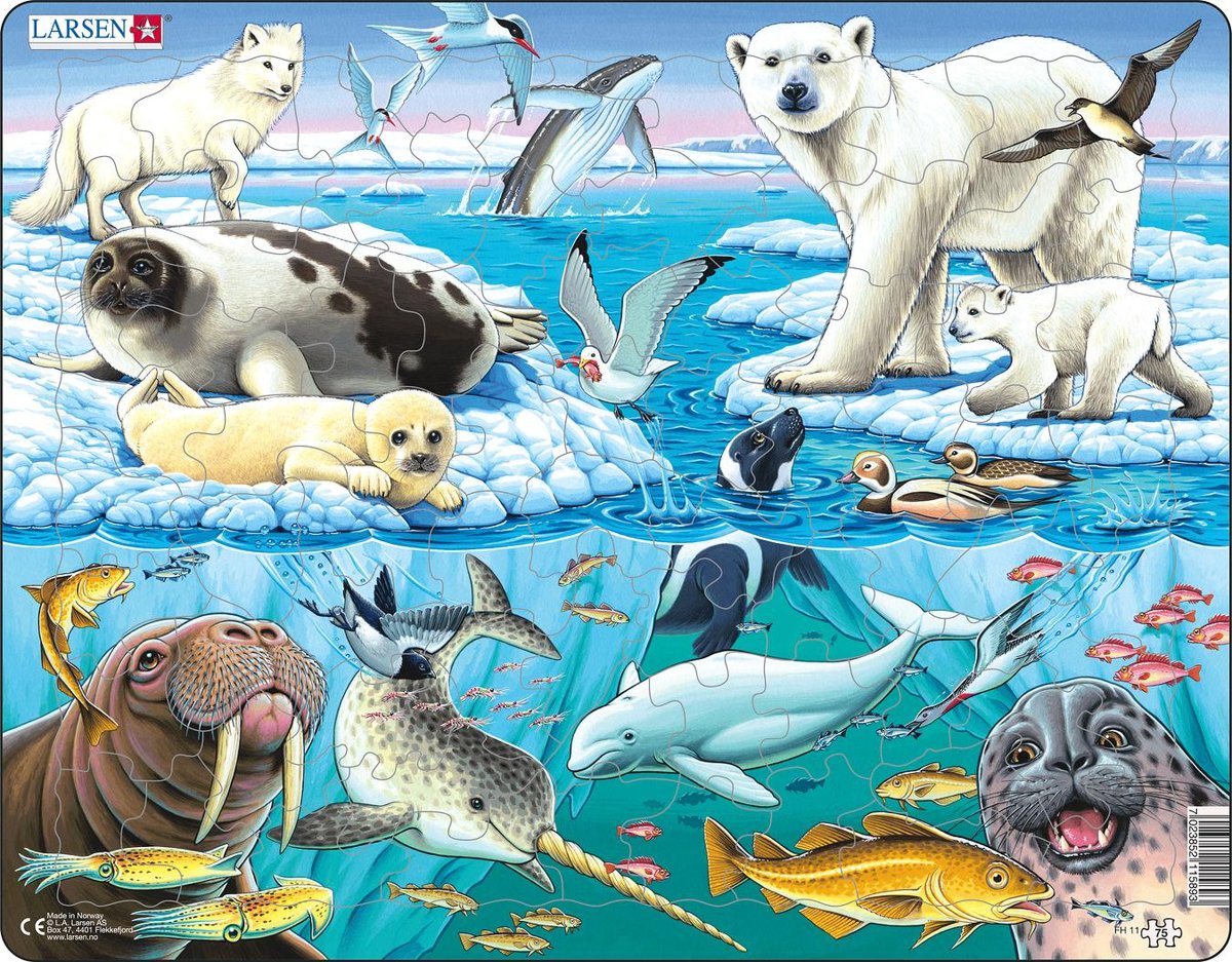 Puzzel Maxi Dieren - Pooldieren - 75 stukjes