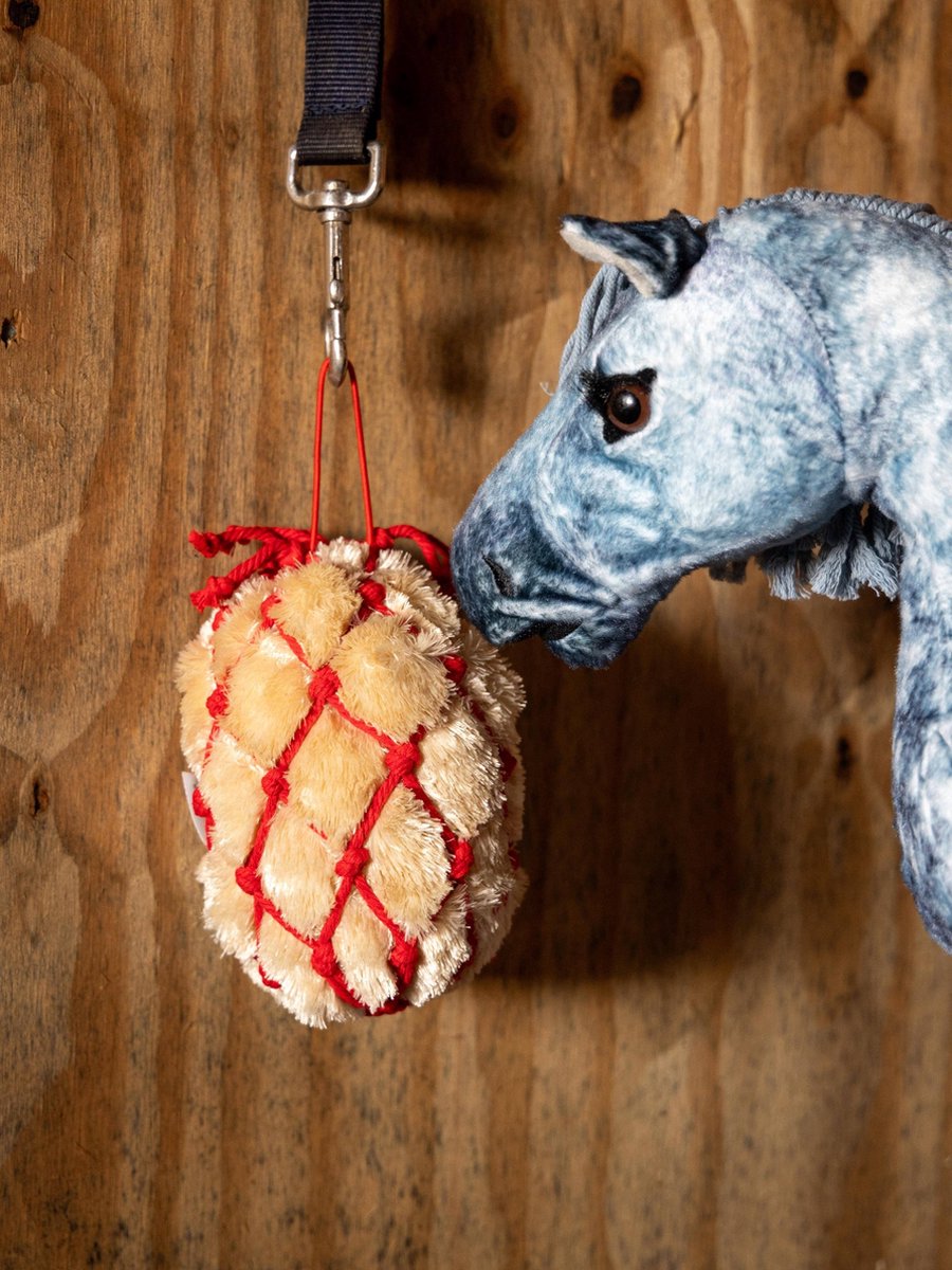   Hooinet   Toy Pony Rood