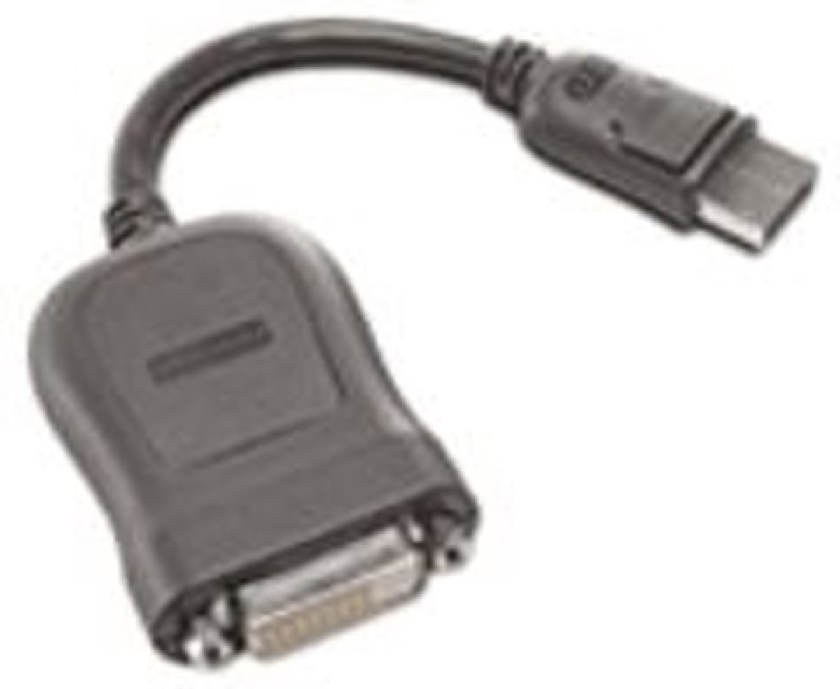 Lenovo 45J7915 DVI-D DisplayPort kabeladapter/verloopstukje