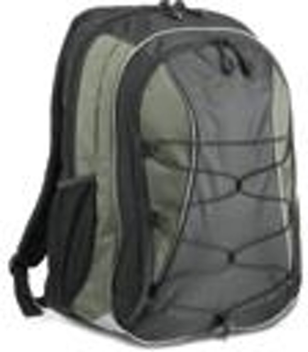 Lenovo Performance Backpack 39,1 cm (15.4) Rugzakhouder Grijs