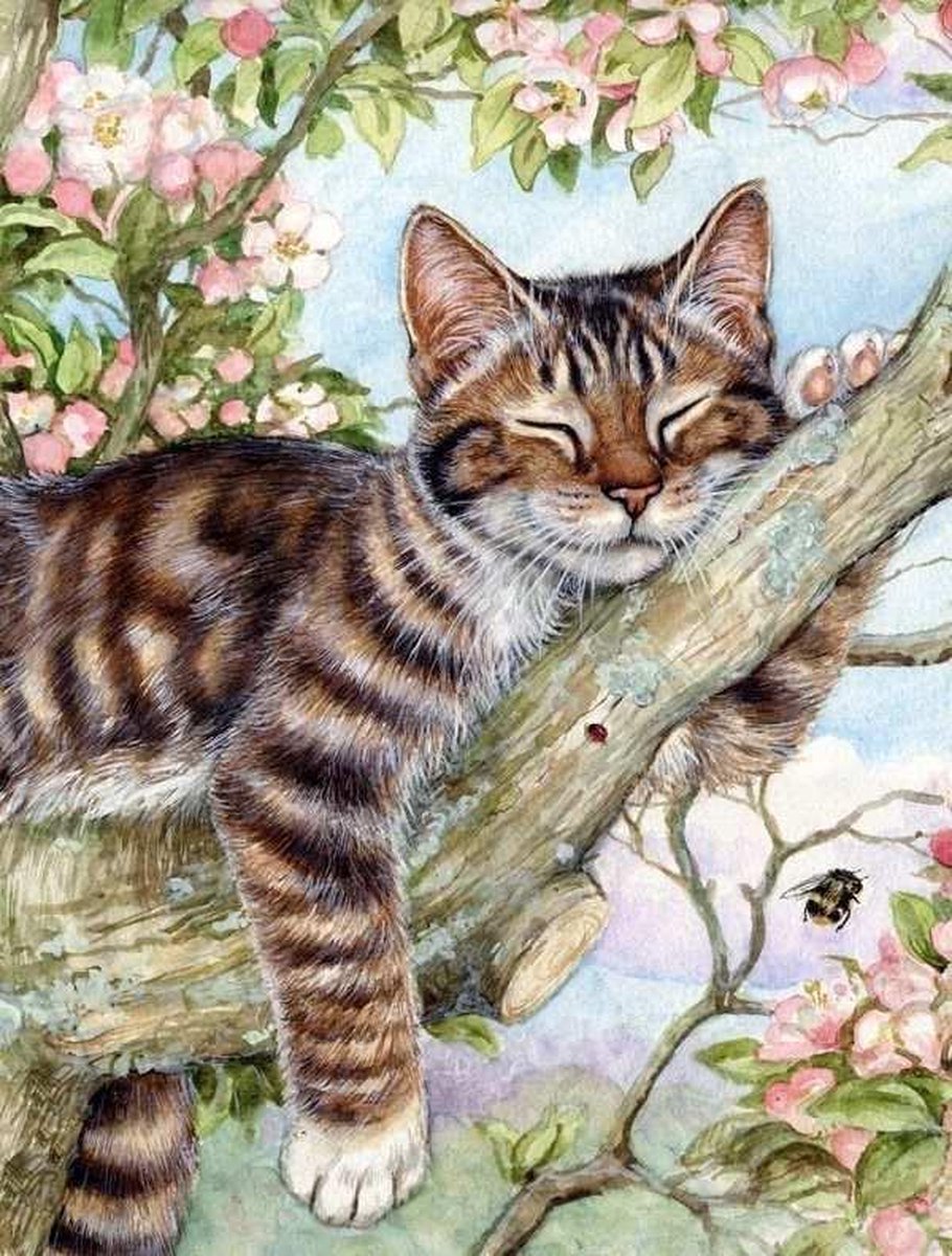   Diamond Painting volwassenen 30x40cm – Rond - Poes - Kat - Full - Pakket Volwassenen en Kinderen