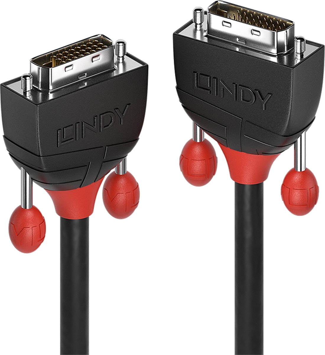 LINDY C�ble DVI-D Dual Link - Zwarte lijn - 2m