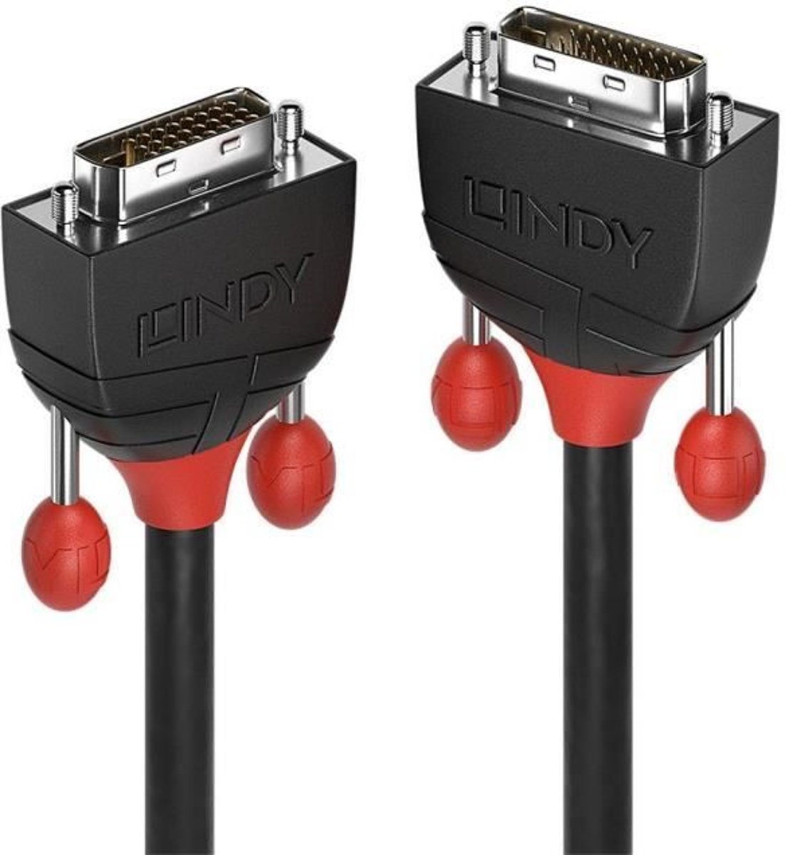 LINDY C�ble DVI-D Dual Link - Zwarte lijn - 5m