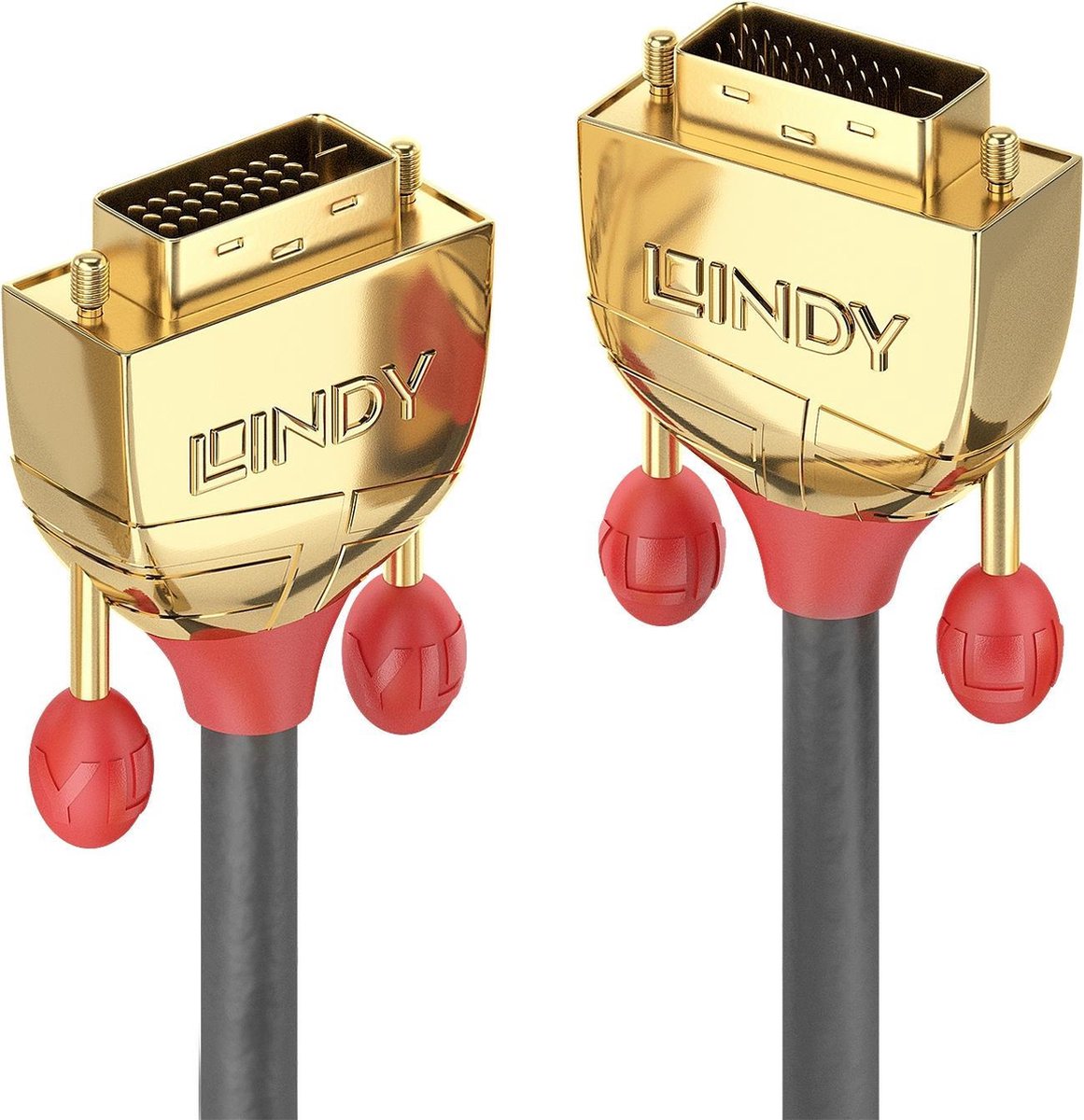 Lindy 36201 DVI kabel 1 m DVI-D Goud, Grijs