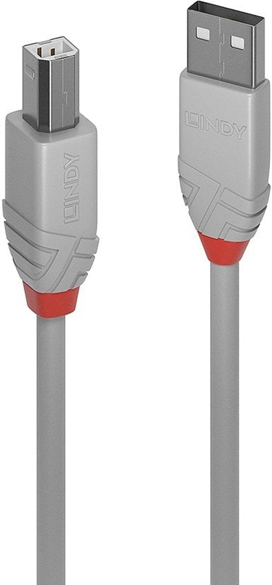 Lindy 36681 0.5m USB A USB B Mannelijk Mannelijk Grijs USB-kabel