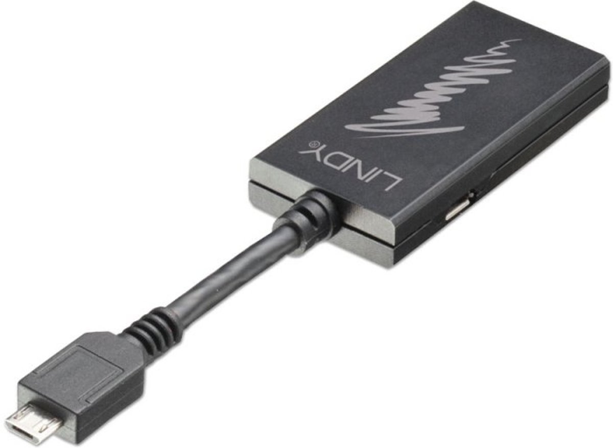 Lindy 41563 video kabel adapter HDMI + USB Zwart