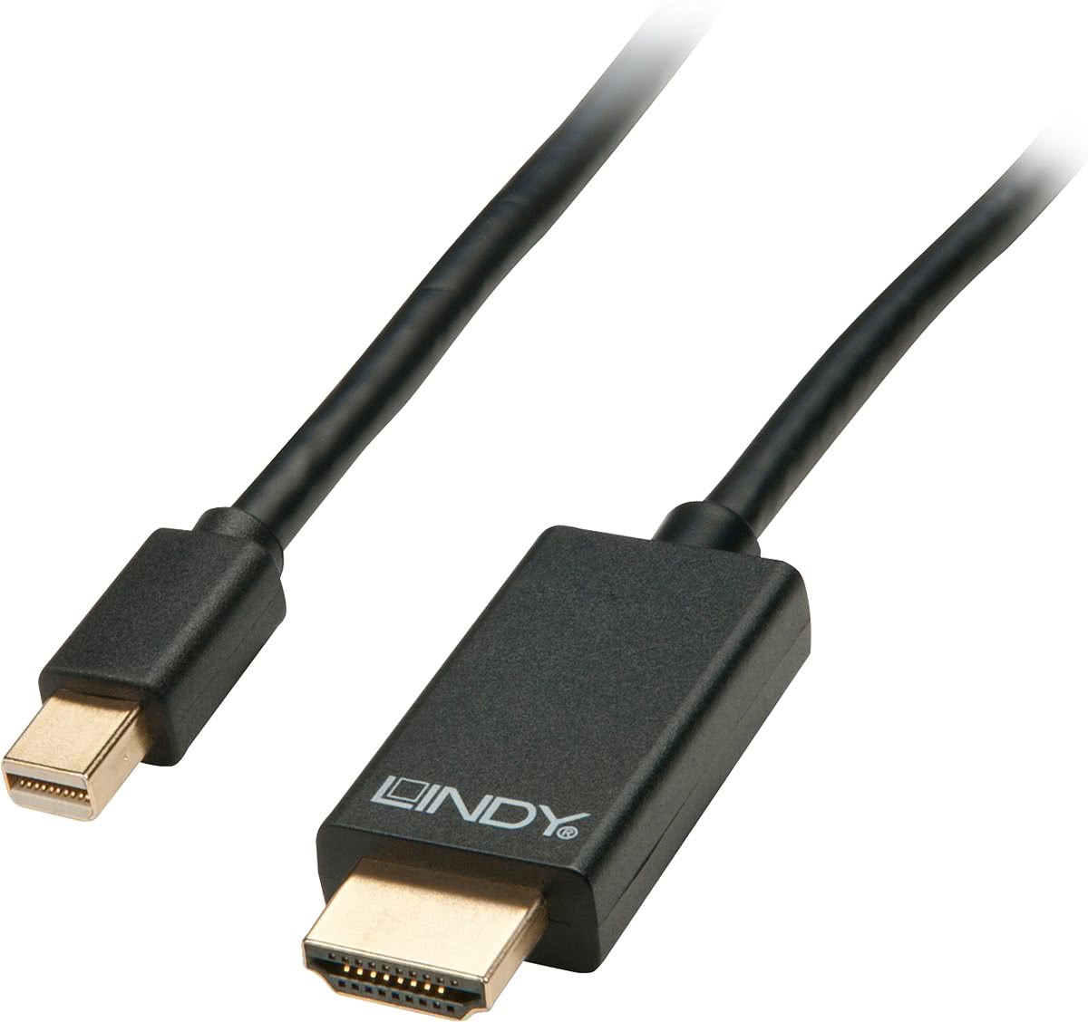 Lindy 41666 DP HDMI Zwart kabeladapter/verloopstukje