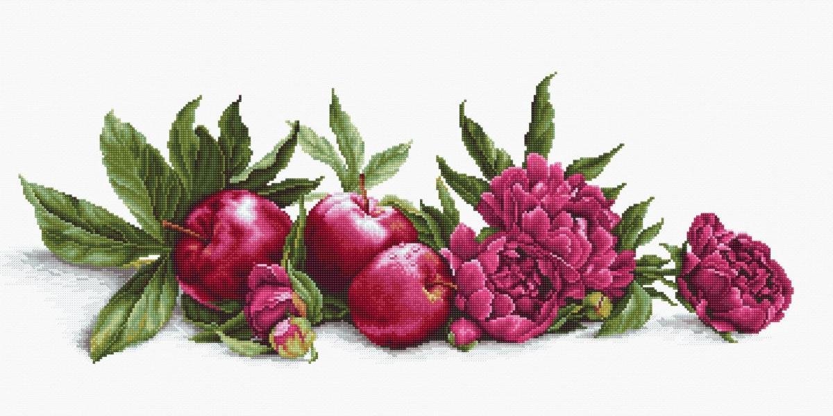 Borduurpakket - PEONIES AND RED APPLES (weefstof) - LUCA-S - telpatroon