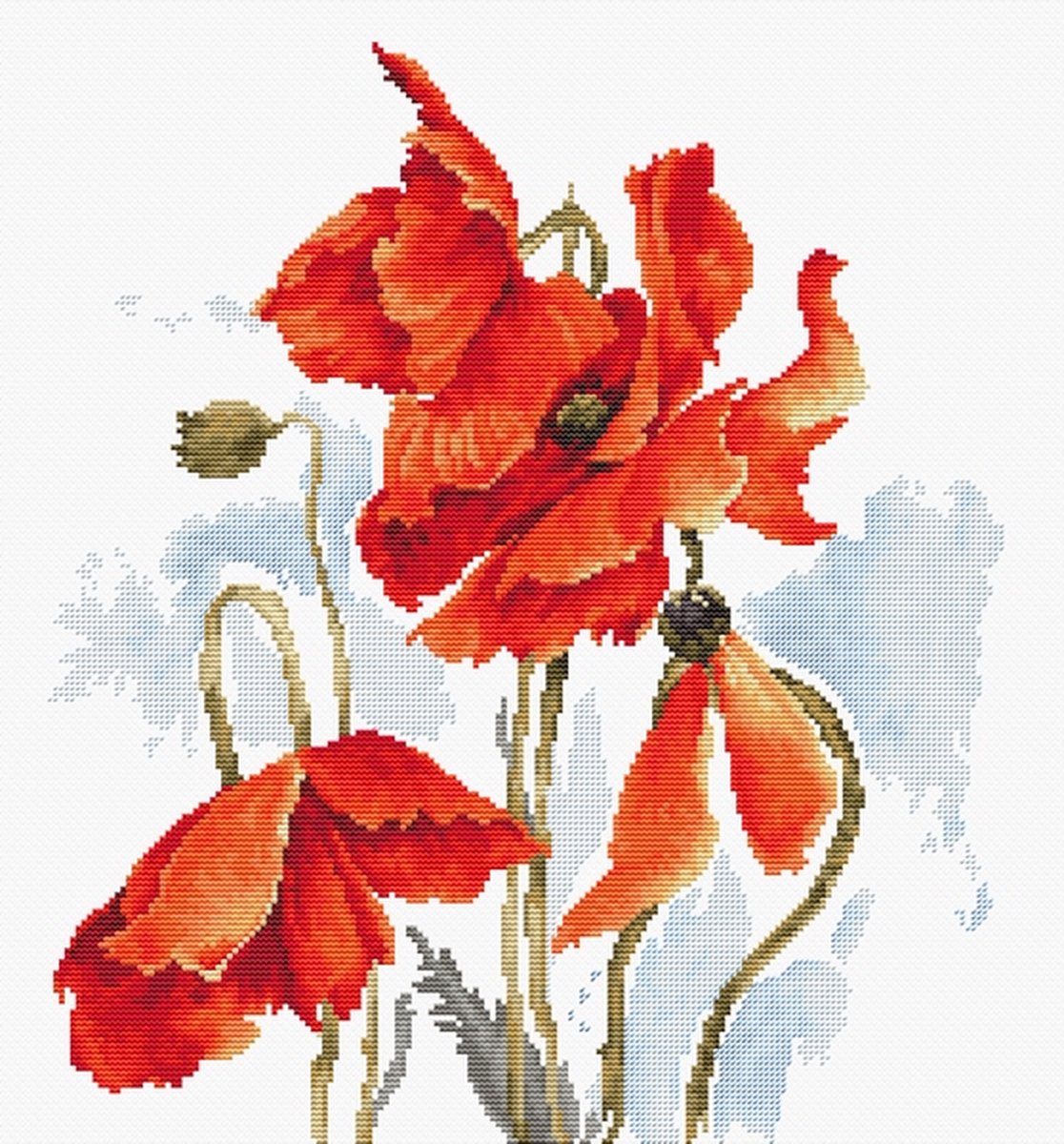 Poppies 6