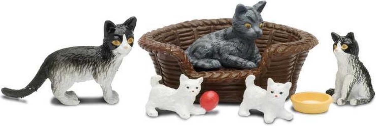   katten met accessoires