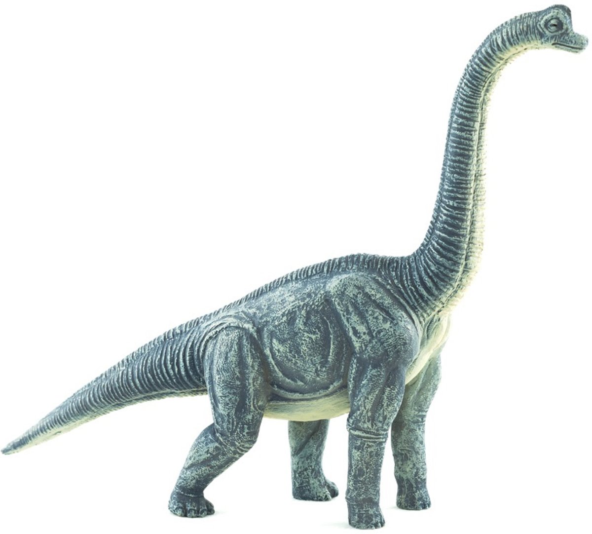 Brachiosaurus