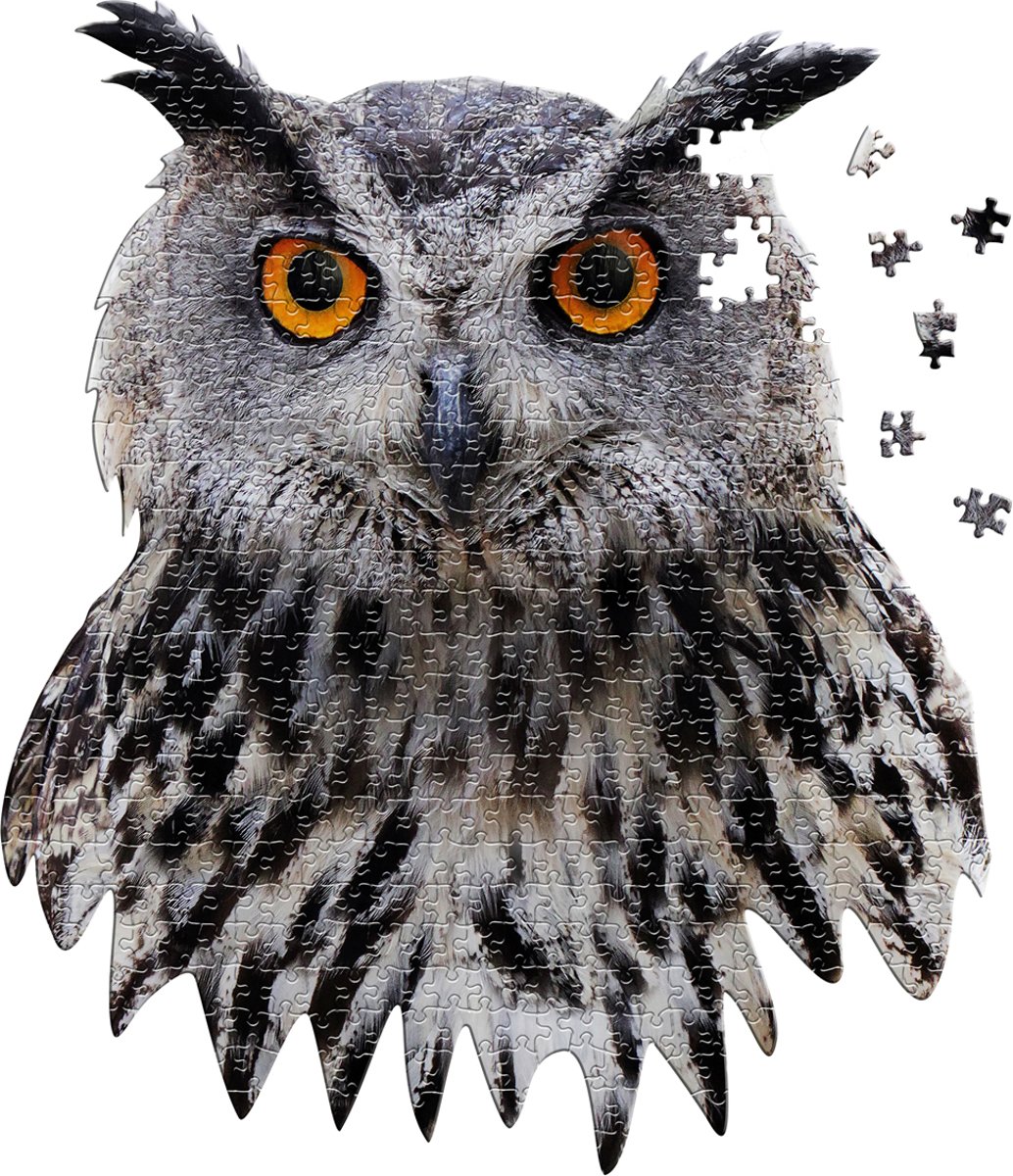 Madd Capp Posterformaat Puzzel I am OWL, 550 stuks