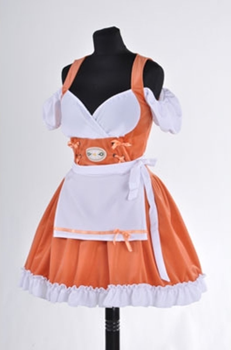 Oktoberfest Dirndl Zalm Jurkje - Carnaval kostuum dames maat 42/44