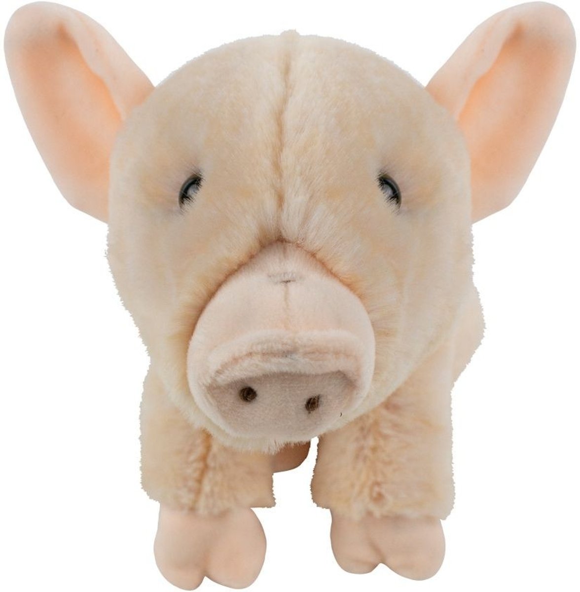 Knuffel Varken (22 cm)