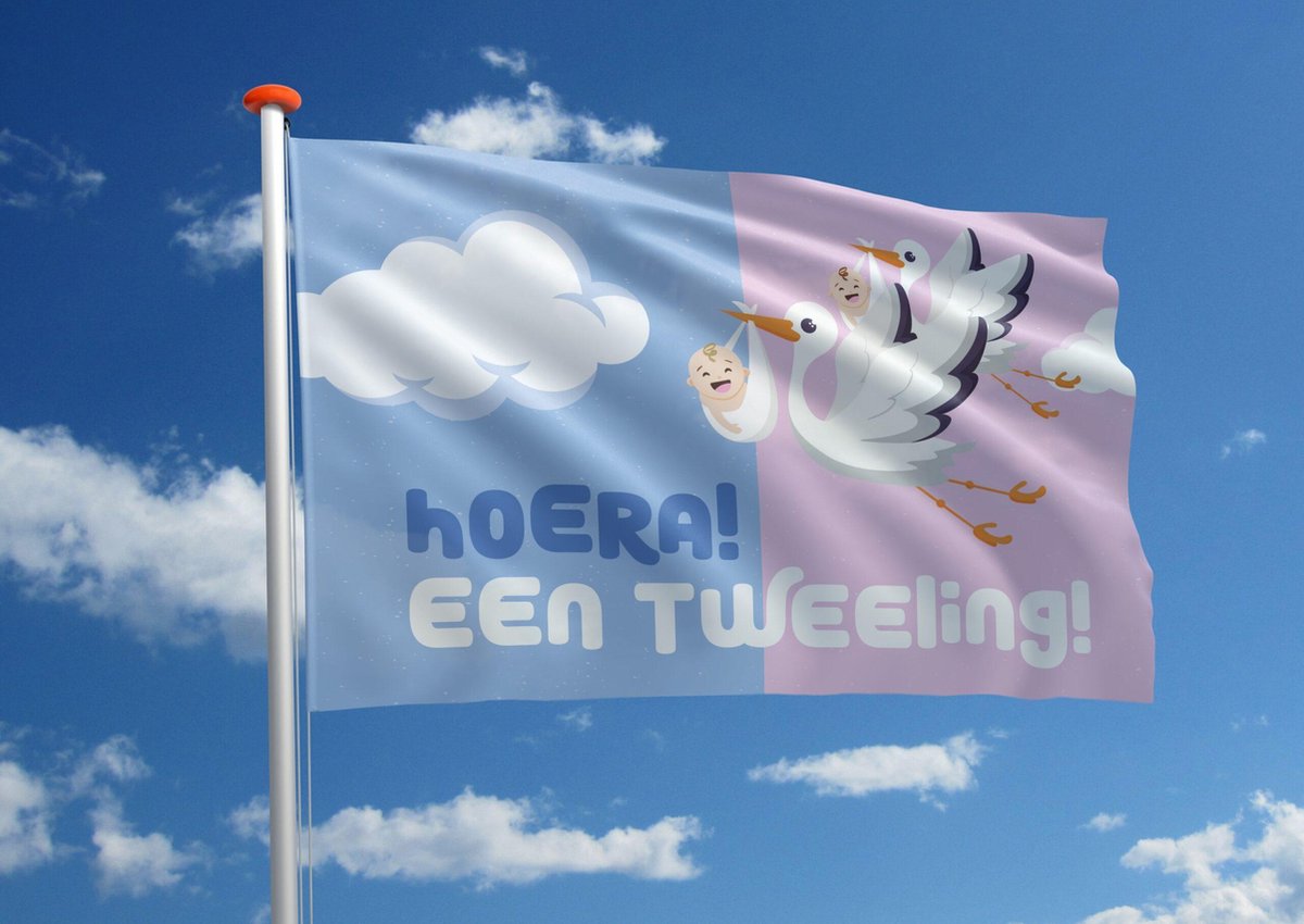 Geboortevlag: Hoera! Een tweeling! - 120x180 cm