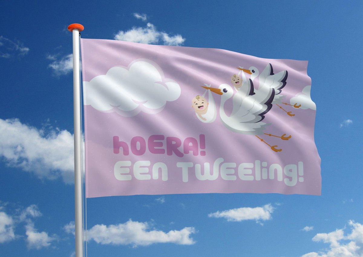 Geboortevlag: Hoera! Een tweeling! - 70x100 cm