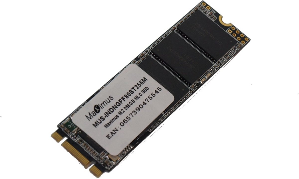 Maximus - Interne SSD M.2 - 256 GB – MLC