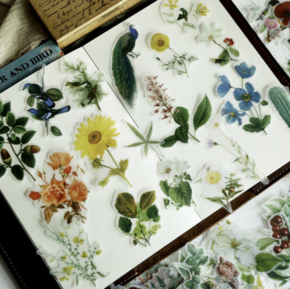 56 Vintage Flora & Fauna Vellum  s -  