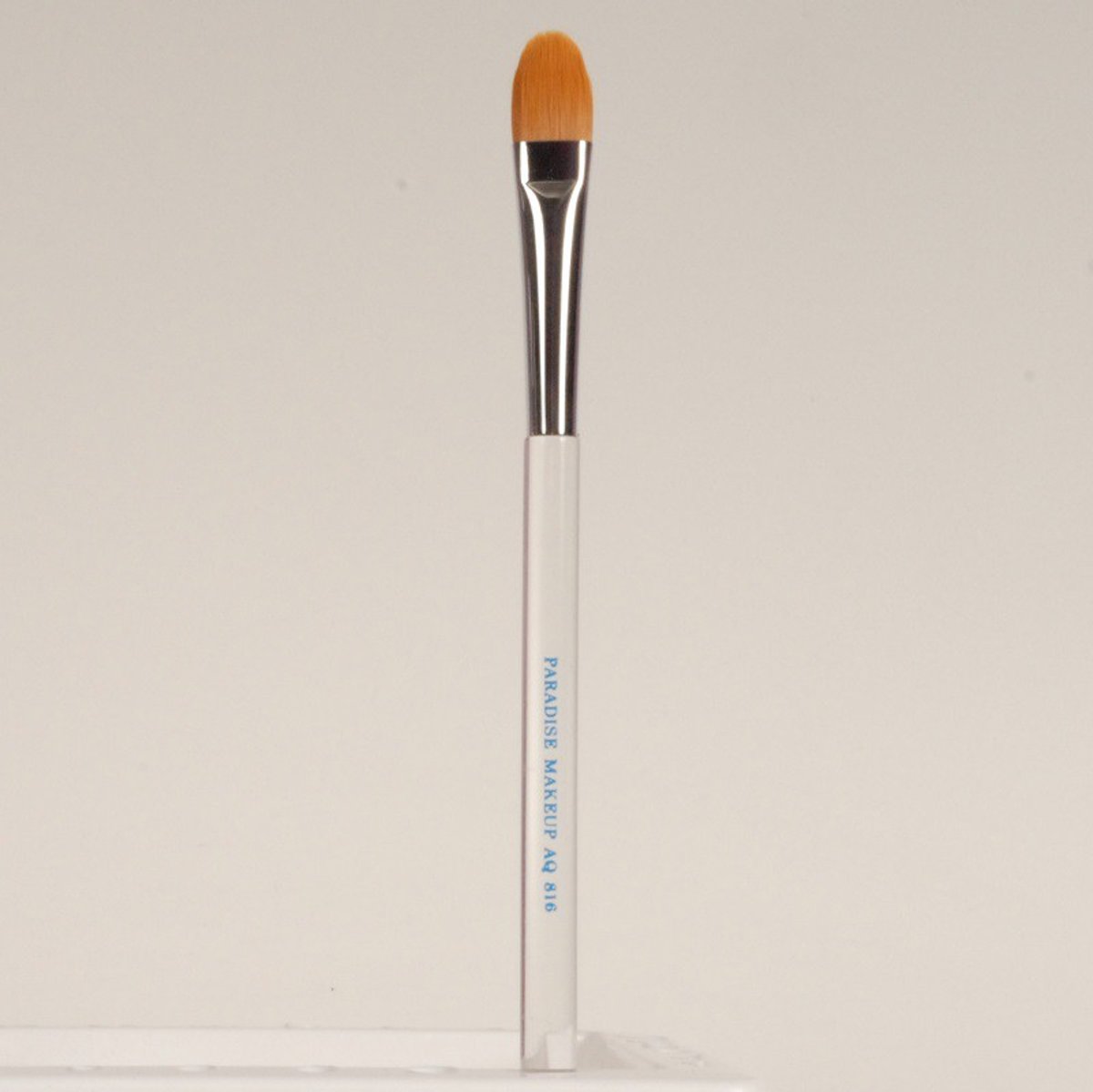 Wide Chisel Brush 816 -  -  