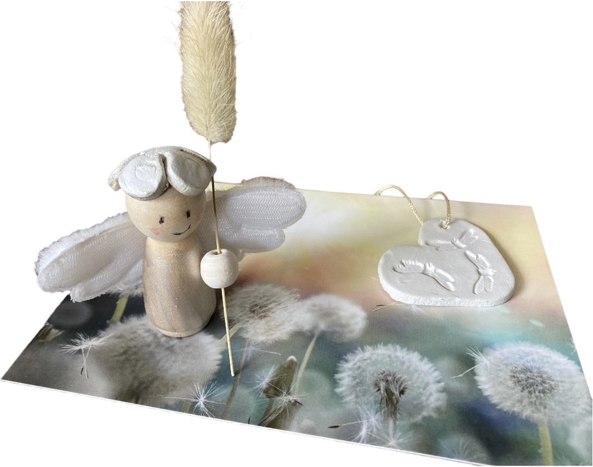 Afscheid Giftset I Engeltje met kaart en hanger Hart