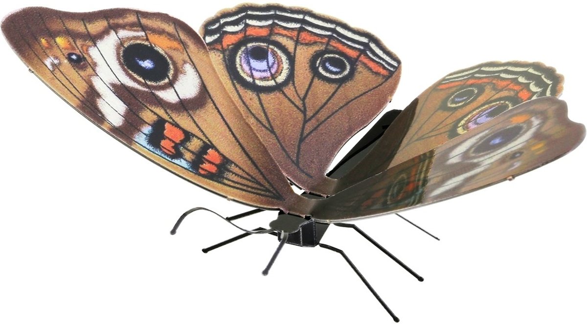 Metal Earth constructie speelgoed Buckeye Butterfly