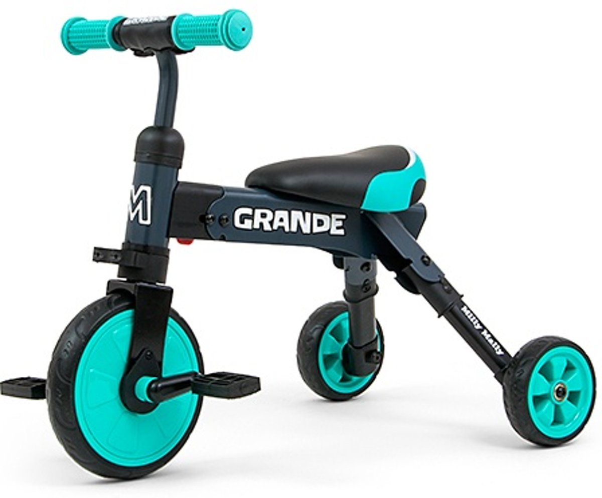 Milly Mally Grande 2-in-1 - Loopfiets - Jongens en meisjes - Mintgroen