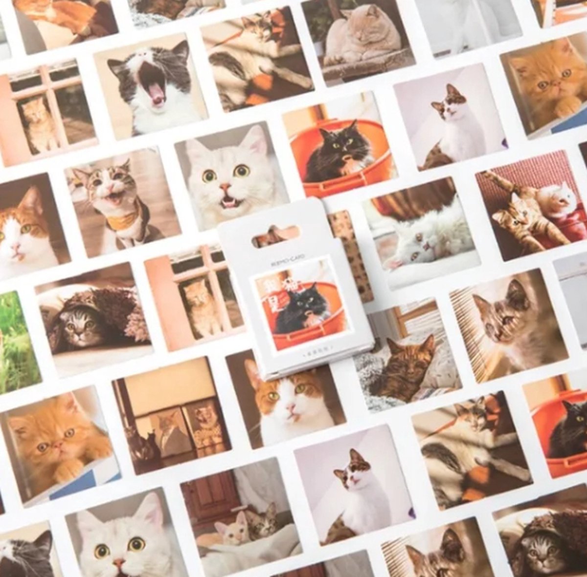 Bullet Journal Stickers - Planner Agenda Stickers - 46 Stuks - Katten - Dieren - Poes - Scrapbook stickers - Bujo stickers - Stickers volwassenen en kinderen