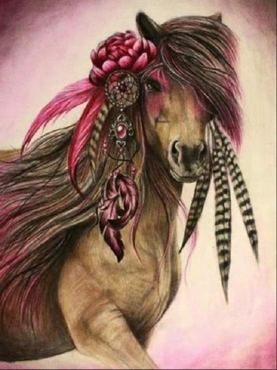 Diamond Painting  DREAM CATCHER HORSE 30 x 40 cm- MONA LISA - FULL