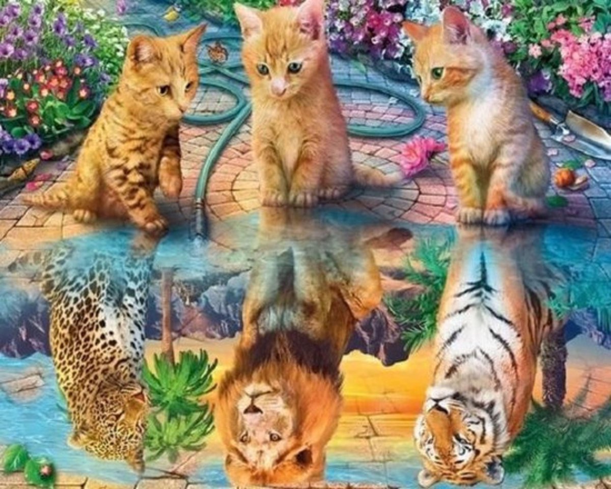 Diamond Painting Kat - Kat / Kitten - Schilderij - Spiegelbeeld- Leeuw Diamond Painting - Luipaard – Hobby Cadeau - Ronde Steentjes - 50 x 40 cm – Mona Lisa Diamond Painting