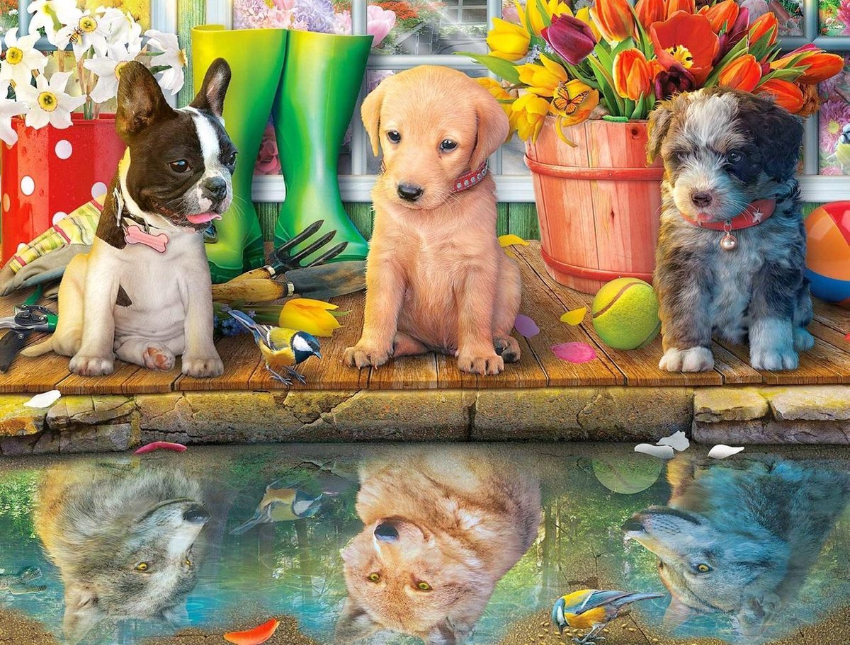 Diamond Painting Pakket - Puppys met Weerspiegeling - 50x40 cm - Complete Set - Volledige Bedekking - Ronde Steentjes - Dielay