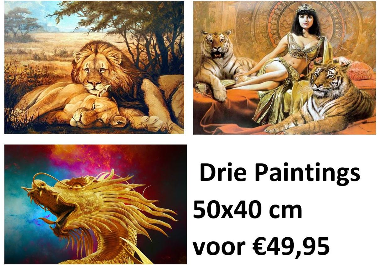 Diamond Painting Pakket - Set van 3 Paintings - Leeuwen, Vrouw met Tijgers en Draak - 50x40 cm - Complete Set - Volledige Bedekking - Dielay