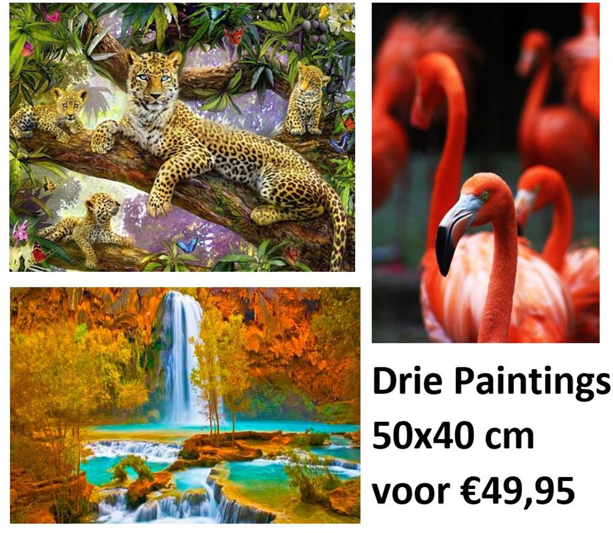 Diamond Painting Pakket - Set van 3 Paintings - Panters, Waterval en Flamingos - 50x40 cm - Complete Set - Volledige Bedekking - Dielay