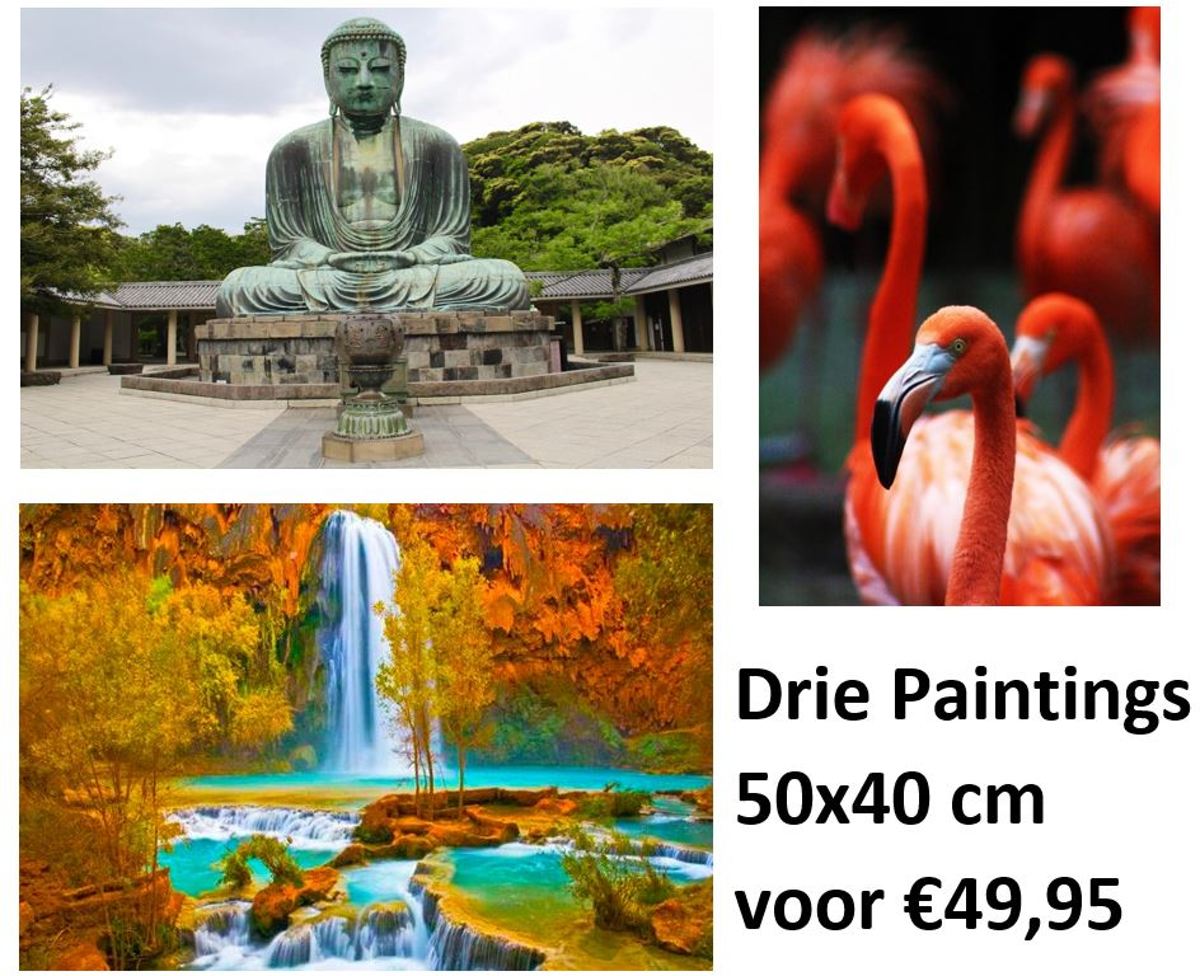 Diamond Painting Pakket - Set van 3 Paintings - Waterval, Flamingos en Boeddha - 50x40 cm - Complete Set - Volledige Bedekking - Dielay