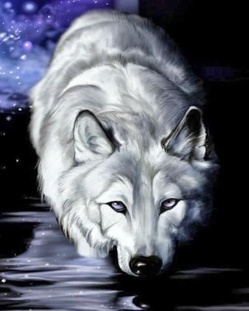 Diamond Painting Pakket - Witte Wolf - 50x40 cm - Complete Set - Volledige Bedekking - Ronde Steentjes - Dielay