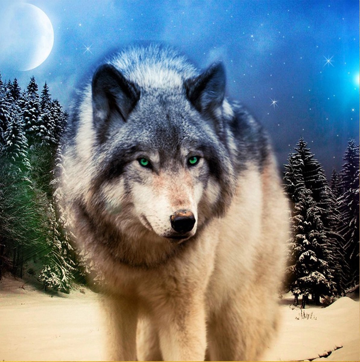 Diamond Painting Pakket - Wolf - 50x40 cm - Complete Set - Volledige Bedekking - Vierkante Steentjes