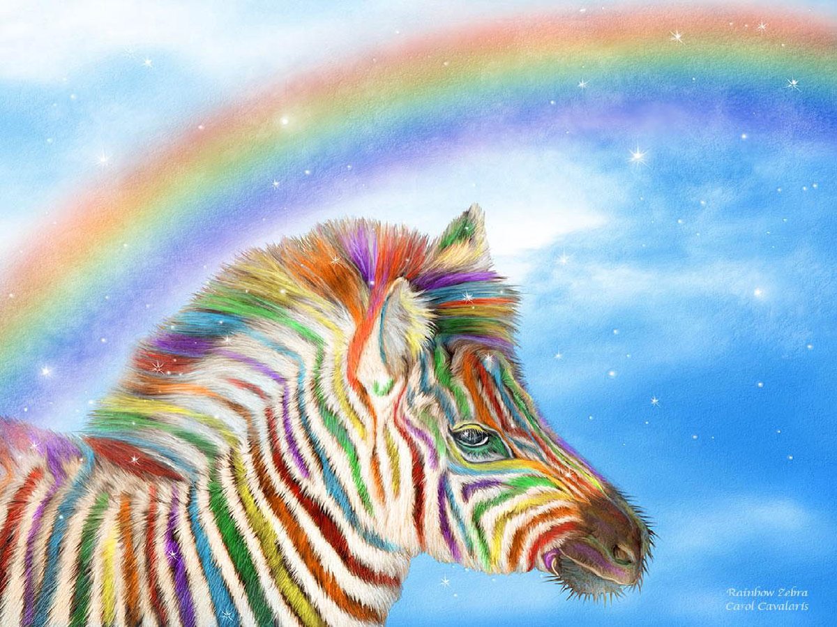 Diamond Painting Pakket - Zebra en Regenboog - 40x30 cm - Complete Set - Volledige Bedekking - Ronde Steentjes