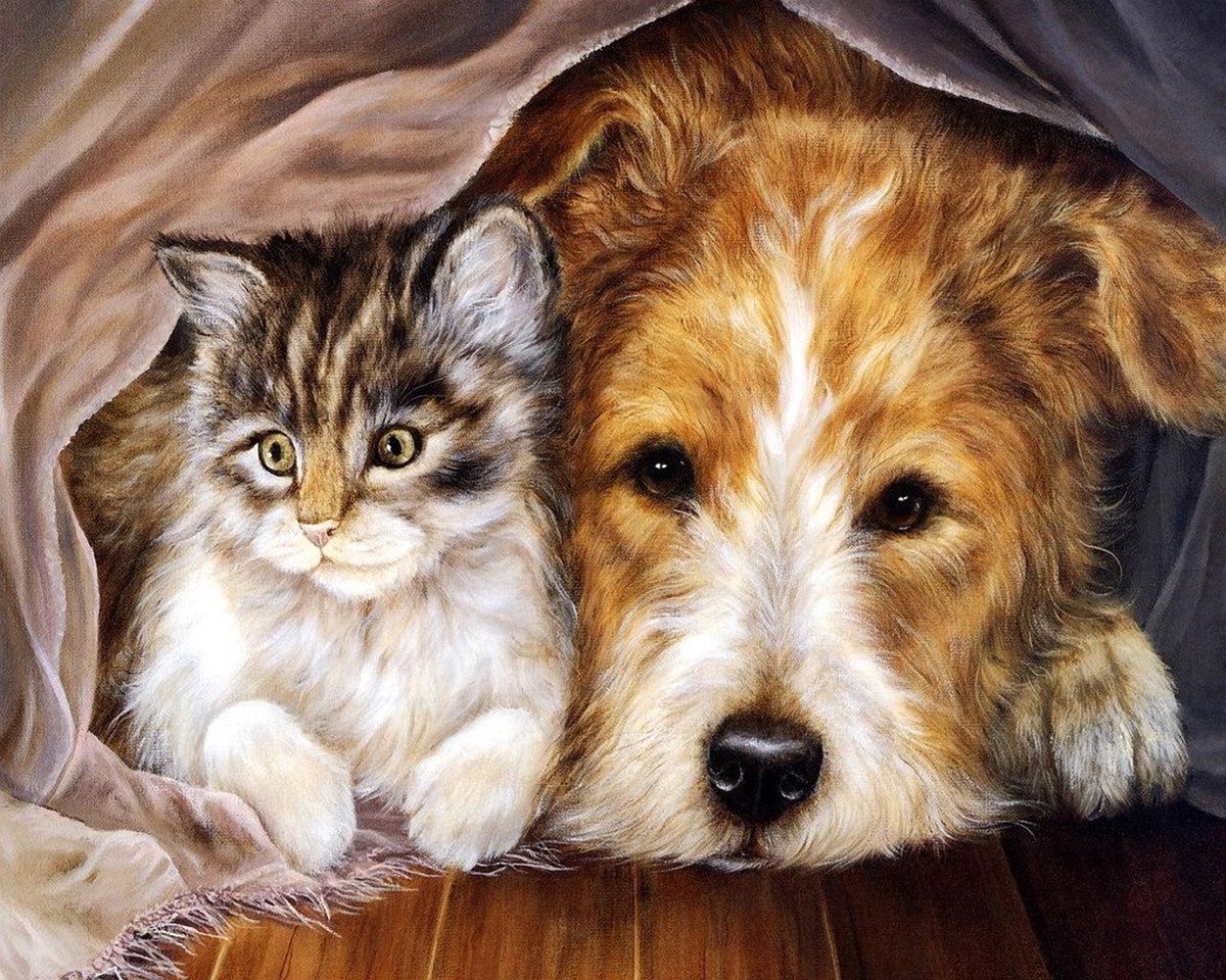 Dielay - Diamond Painting Pakket - Hond en Kat - 40x30 cm - Complete Set - Volledige Bedekking - Ronde Steentjes