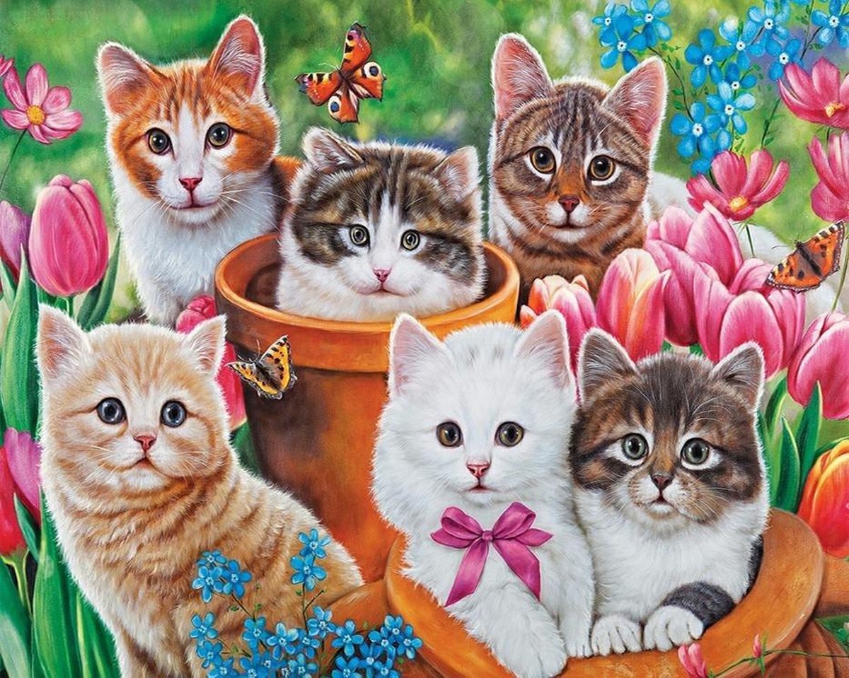 Dielay - Diamond Painting Pakket - Katten - 50x40 cm - Complete Set - Volledige Bedekking - Vierkante Steentjes