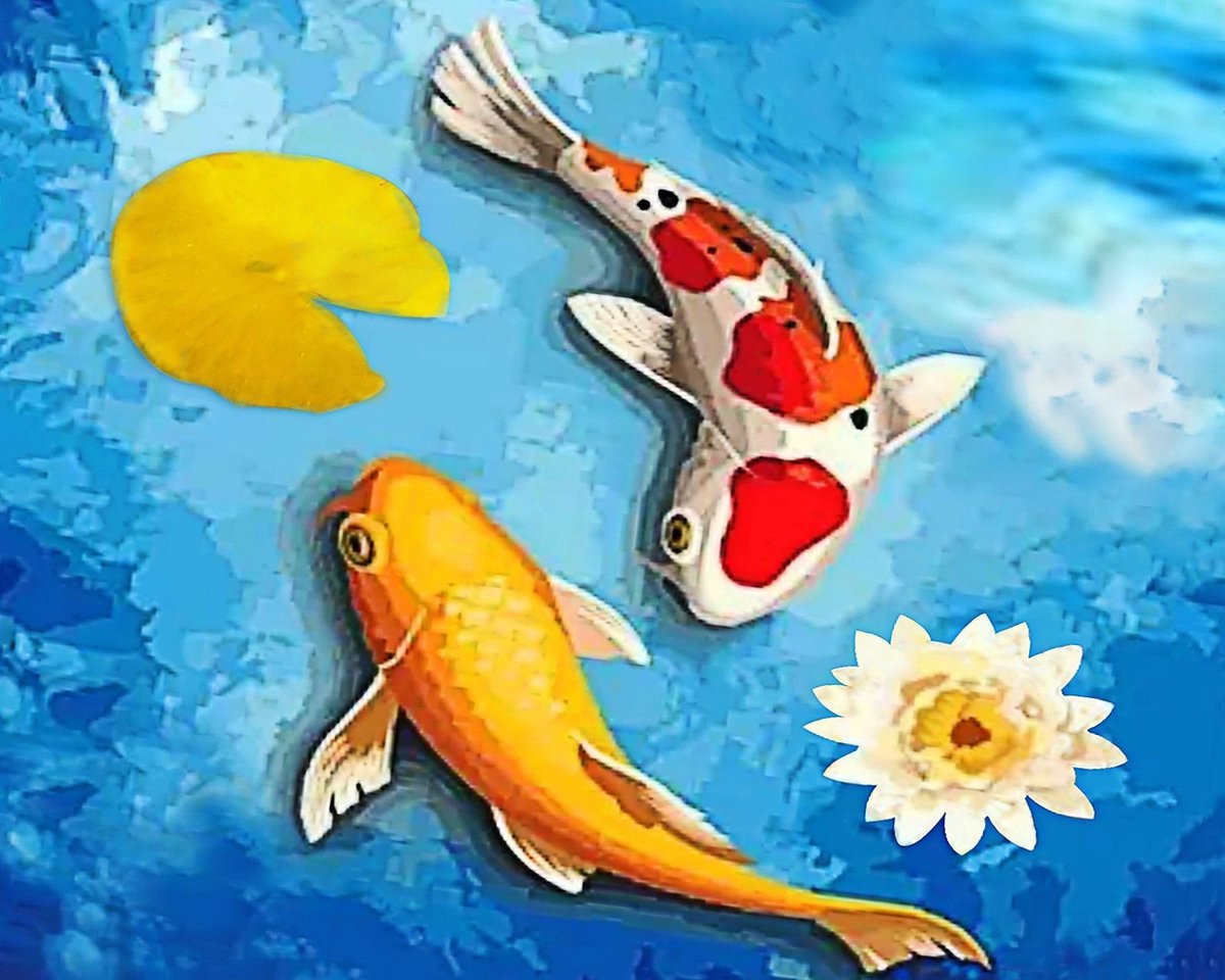 Dielay - Diamond Painting Pakket - Koi / Karpers - 50x40 cm - Complete Set - Volledige Bedekking - Ronde Steentjes