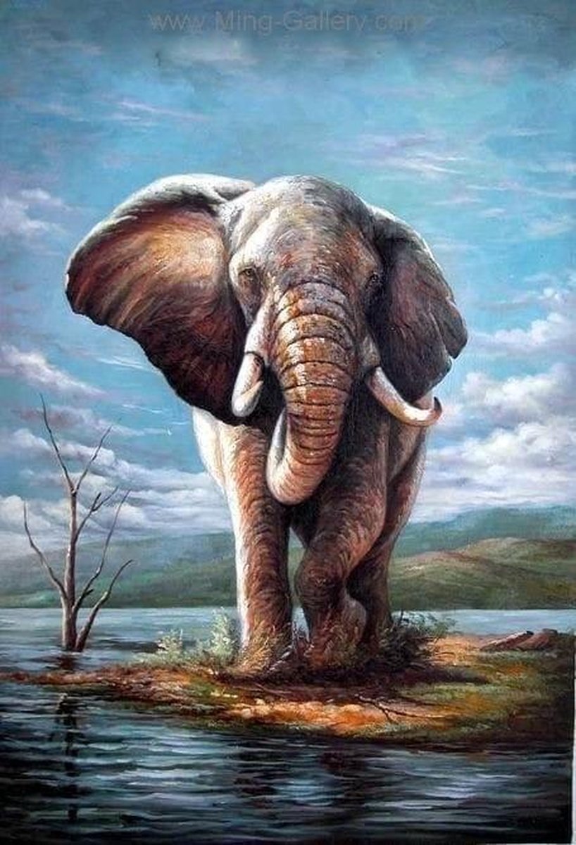 Dielay - Diamond Painting Pakket - Olifant aan het Water - 50x40 cm - Complete Set - Volledige Bedekking - Ronde Steentjes