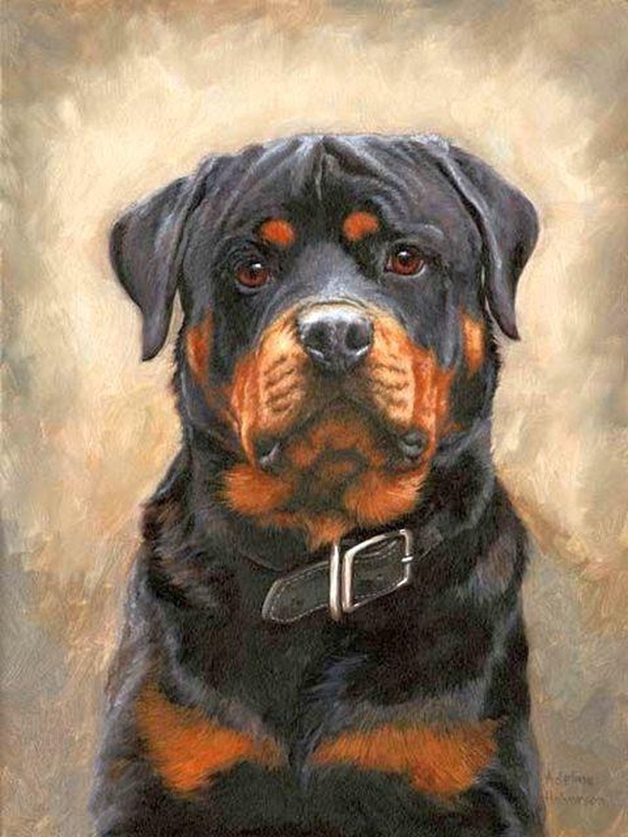 Dielay - Diamond Painting Pakket - Rottweiler - 50x40 cm - Complete Set - Volledige Bedekking - Ronde Steentjes