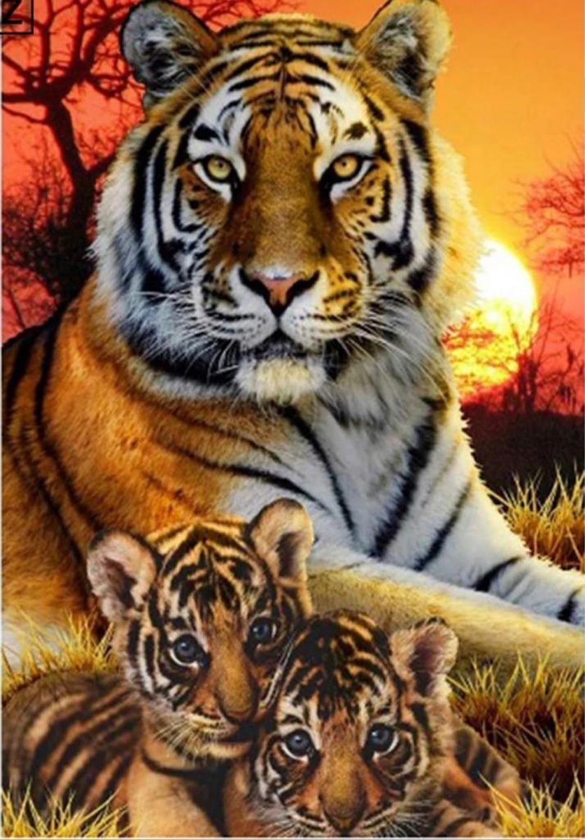 Dielay - Diamond Painting Pakket - Tijger met Welpen - 50x40 cm - Complete Set - Volledige Bedekking - Ronde Steentjes