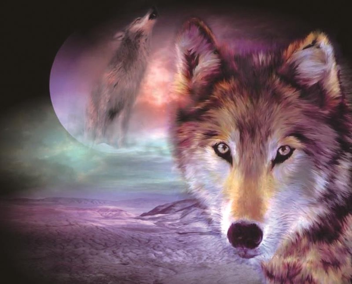 Dielay - Diamond Painting Pakket - Wolf en Maan - 40x30 cm - Complete Set - Volledige Bedekking - Ronde Steentjes